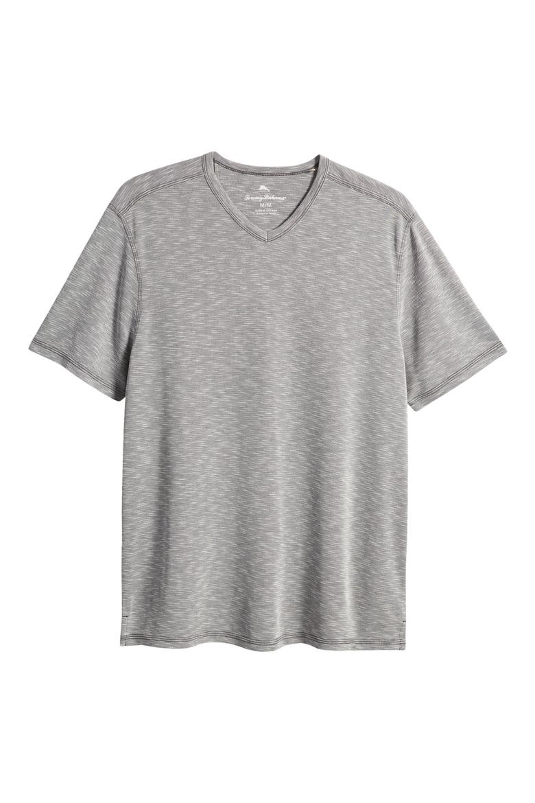 Cape Cayo V-Neck T-Shirt, Alternate, color, COAL