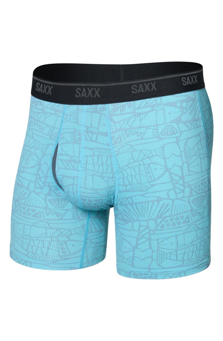 SAXX Quest Quick Dry Mesh Boxer Briefs, Alternate, color, Tile Fish-Sea Level