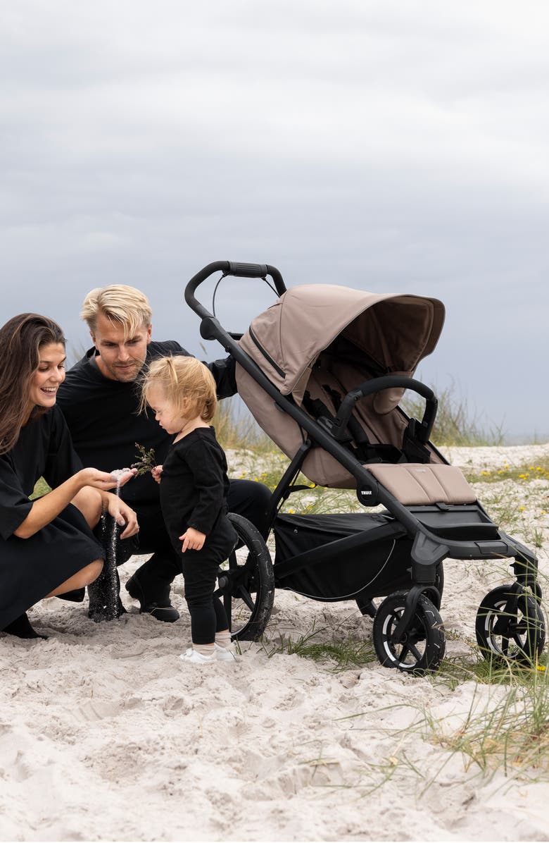 Thule Urban Glide 4-Wheel All-Terrain Stroller, Alternate, color, Mid Blue