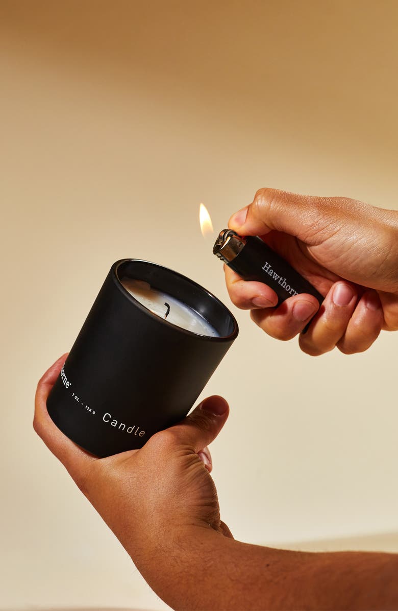 Hawthorne Dark & Cozy Palo Santo Candle, Alternate, color,