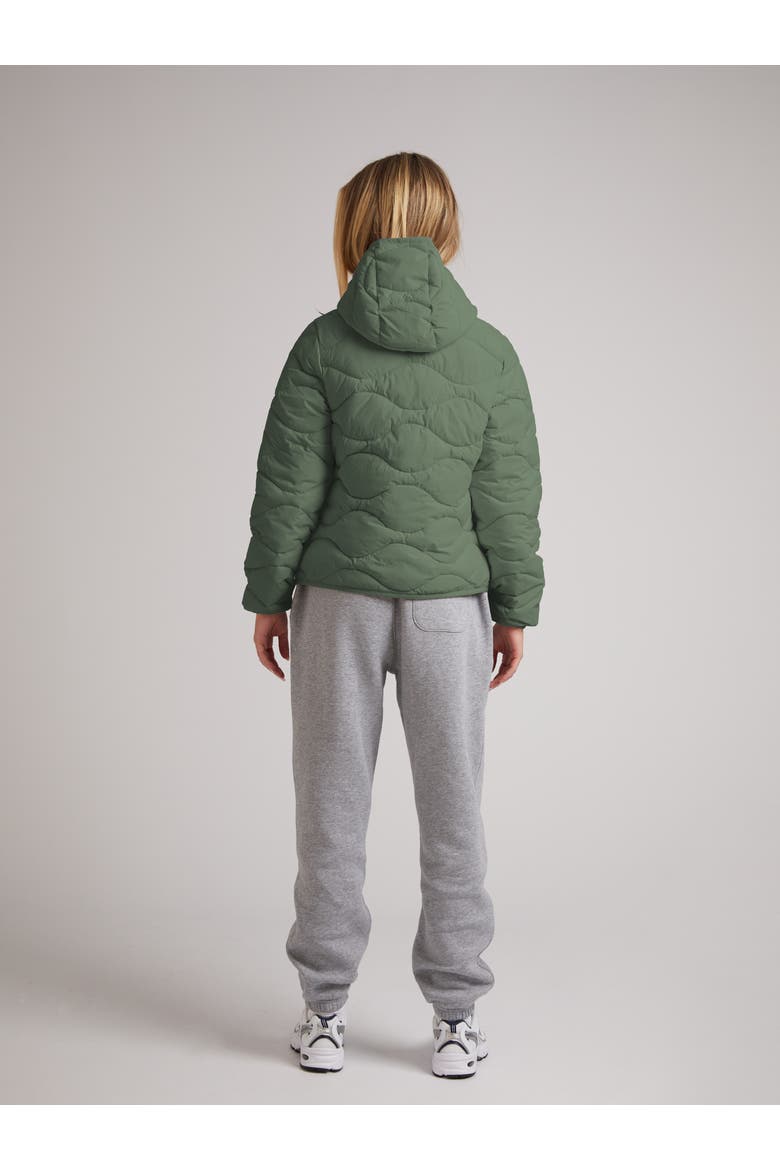 Orb1T Hooded Jacket, Alternate, color, MUTED OLIVE