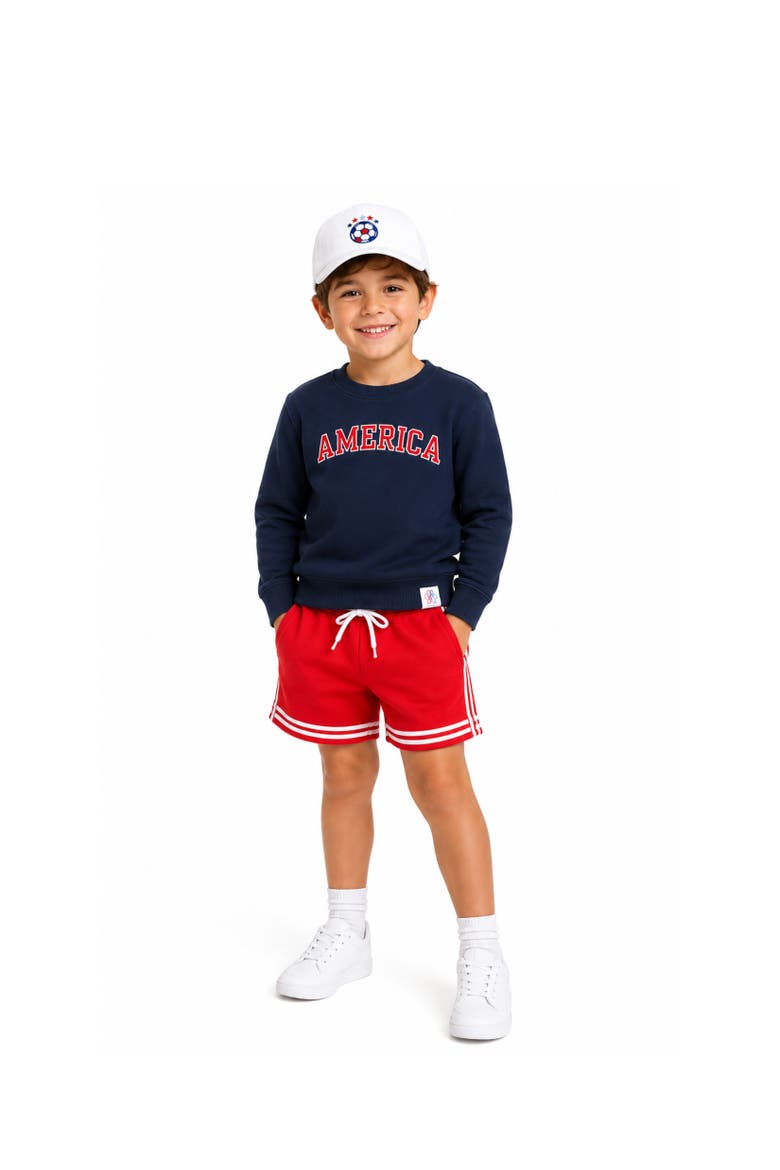 USA Soccer Baseball Hat, Alternate, color, White