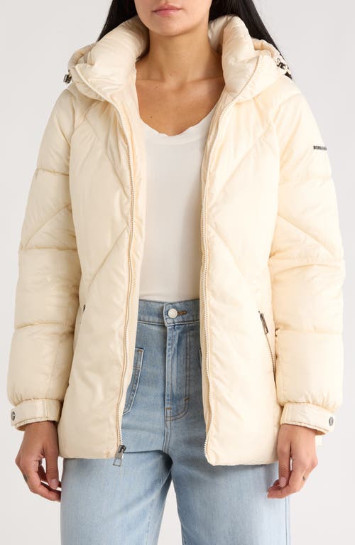 Bcbgeneration Missy Belted Puffer Coat In Neutral