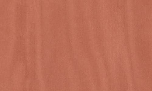 Renee C Sleeveless Ribbed Turtleneck Dress In Brown