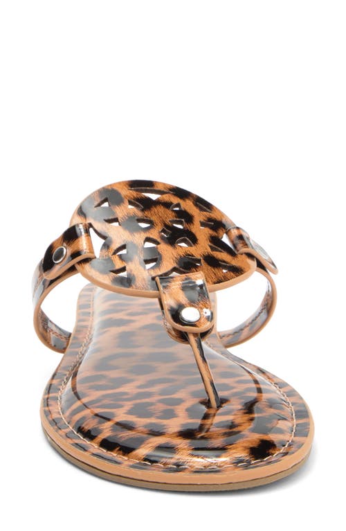 Dolce Vita Dv By  Gotie Laser Cut Studded Thong Sandal In Leopard Patent