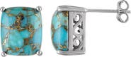 FZN Sterling Silver Turquoise Stud Earrings