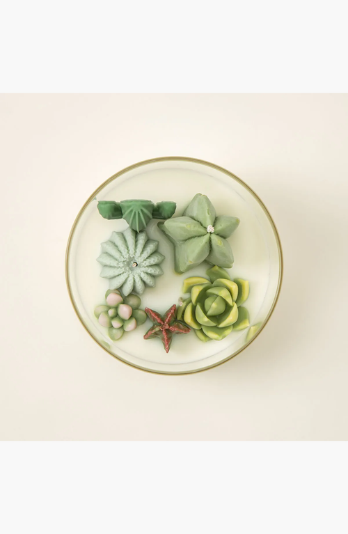 Uncommon Goods Cactus Terrarium Candle In Champagne & Peach