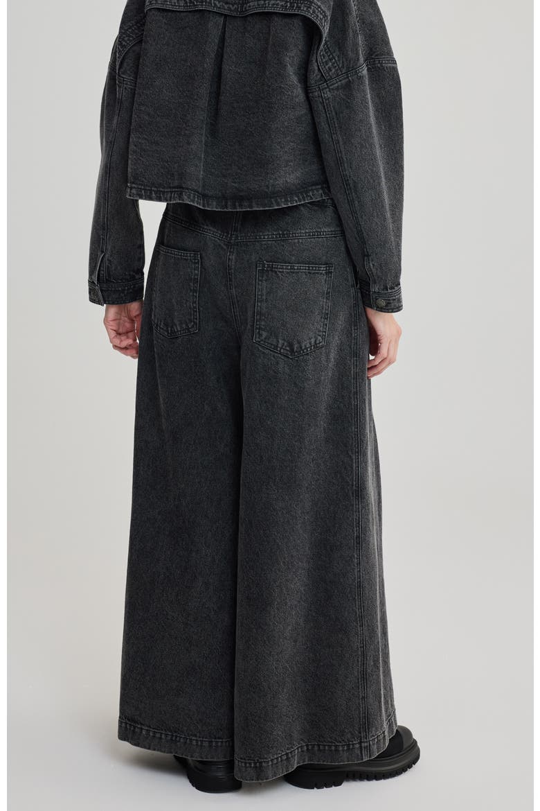 Raine Pleated Wide-Leg Jeans, Alternate, color, Black