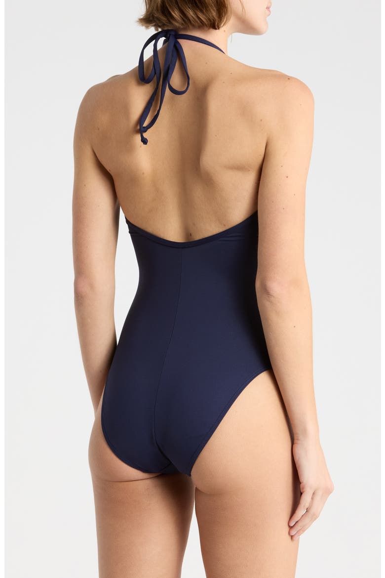 Leilani Matte Plunge One-Piece Swimsuit, Alternate, color, HORIZON INK