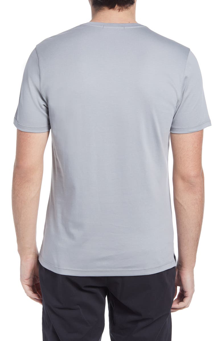 Robert Barakett Georgia Regular Fit V-Neck T-Shirt, Alternate, color, Monument G