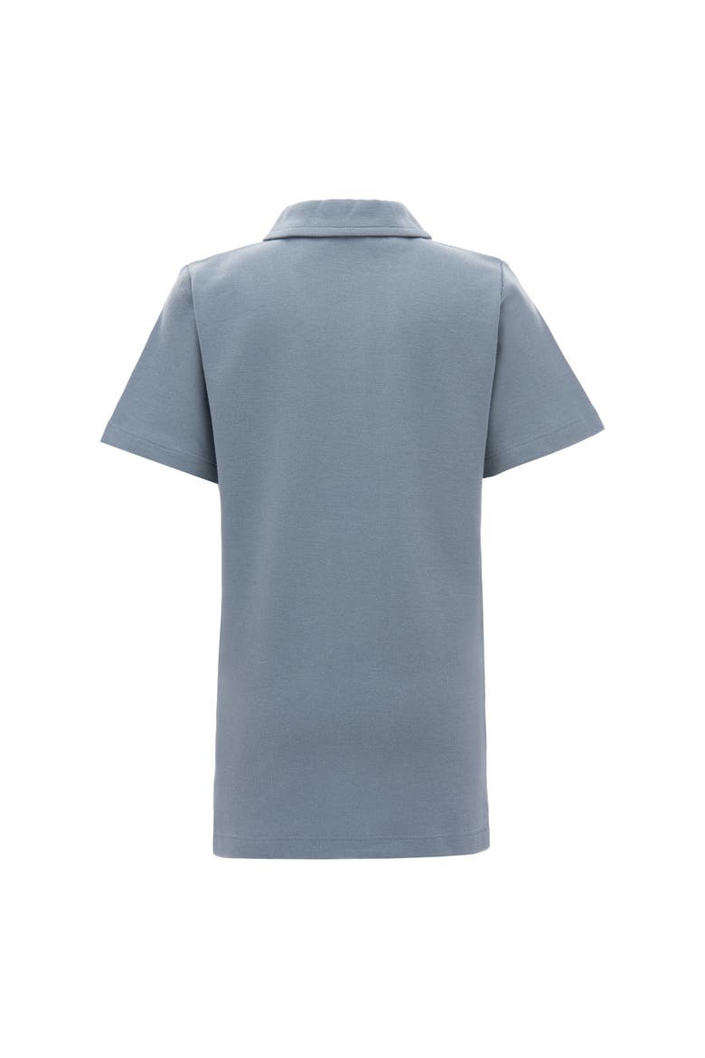 Solid Polo Shirt, Alternate, color, Blue