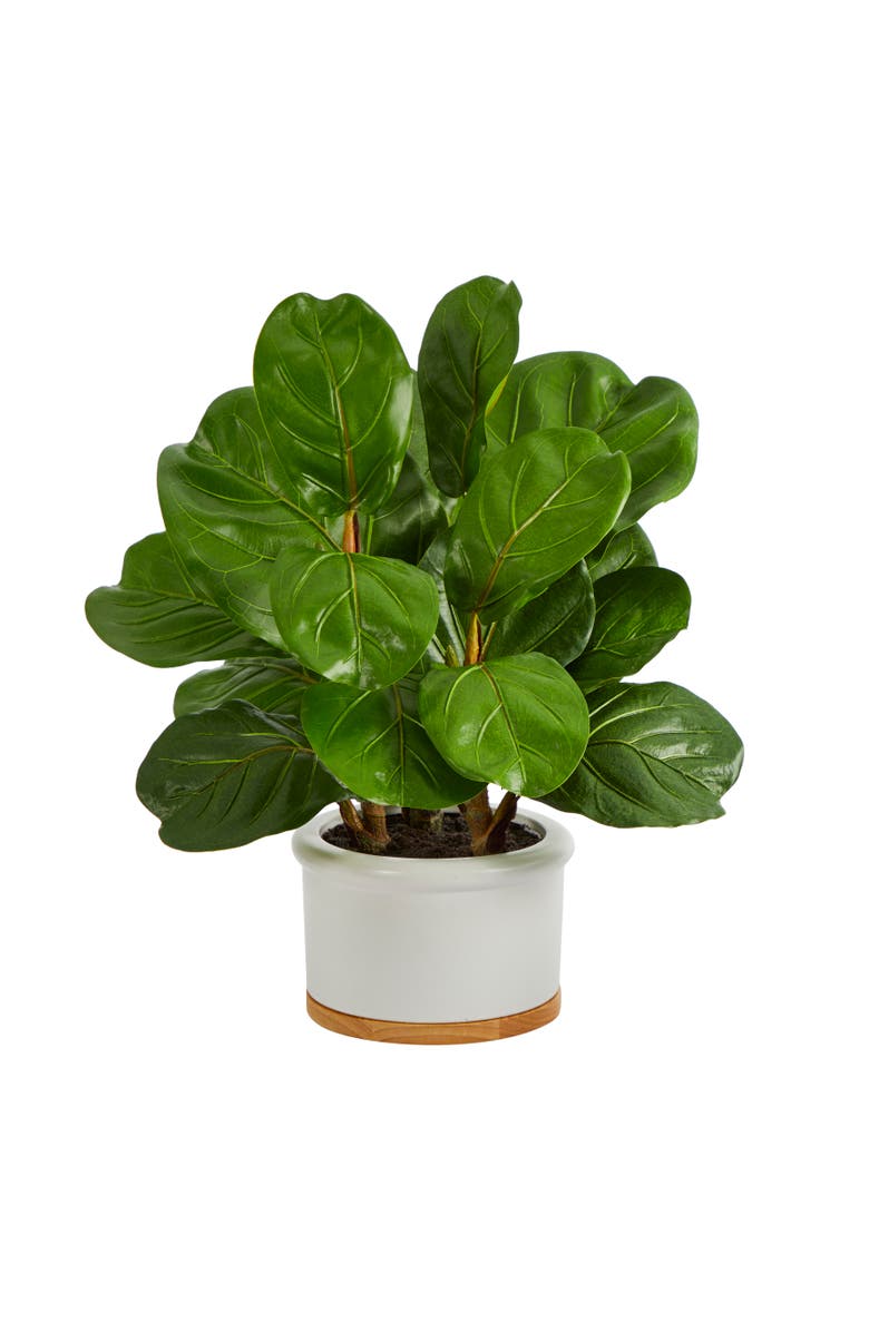 NEARLY NATURAL 15-in Fiddle Leaf Artificial Tree in White Planter, Main, color, Green