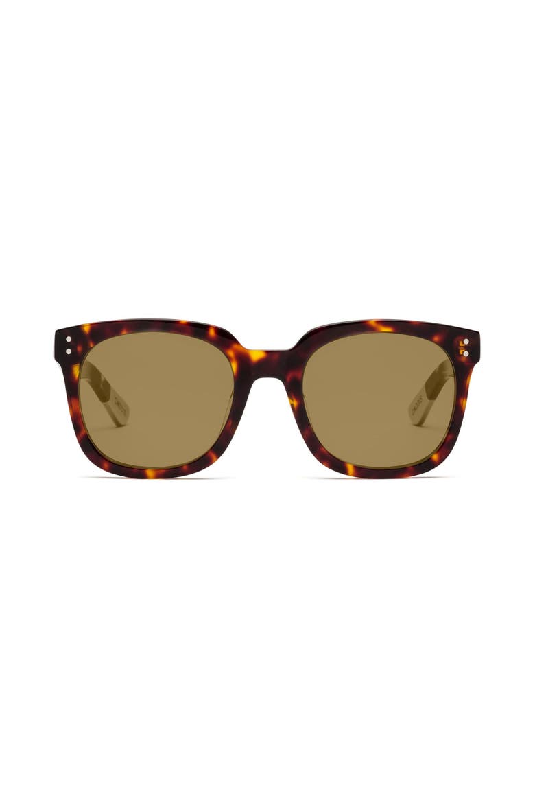 Jockamo | Polarized Sunglasses, Alternate, color, Turtle - Polarized Bronze