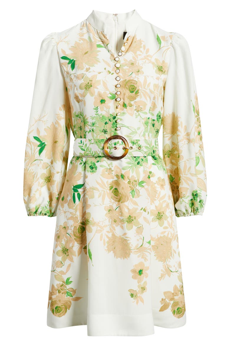 Border Print Belted Long Sleeve Dress, Alternate, color, IVORY FERN