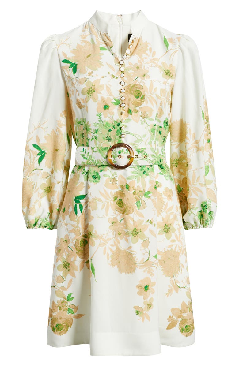 Tahari ASL Border Print Belted Long Sleeve Dress, Alternate, color, Ivory Fern