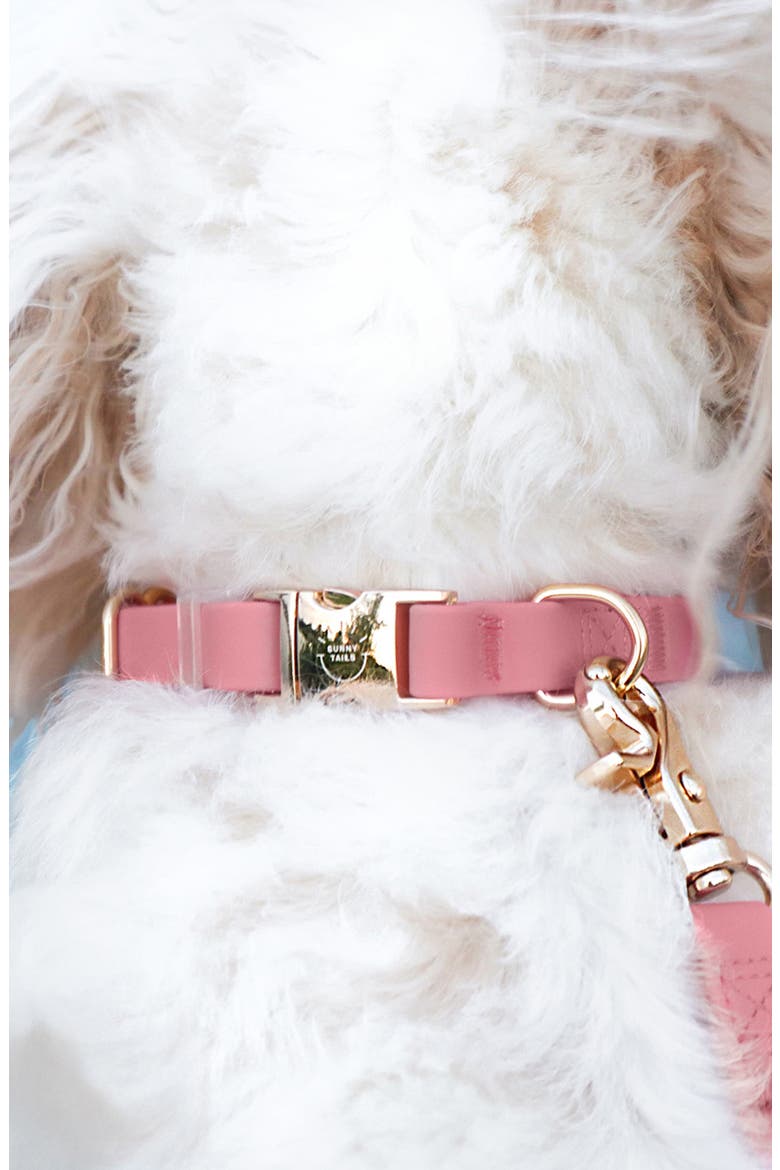 Cloud Waterproof Dog Collar, Alternate, color, PERFECT PINK