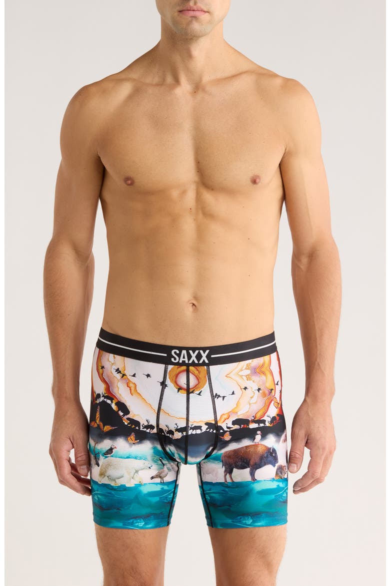 Volt Breathable Sim Fit Mesh Boxer Briefs, Alternate, color, GREAT MIGRATION-MLTI