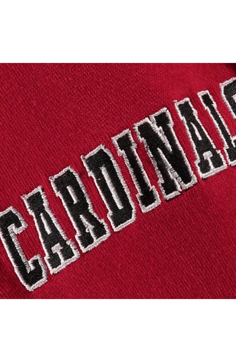 STADIUM ATHLETIC Youth Stadium Athletic Red Louisville Cardinals Big Logo Pullover Hoodie, Alternate, color, Red