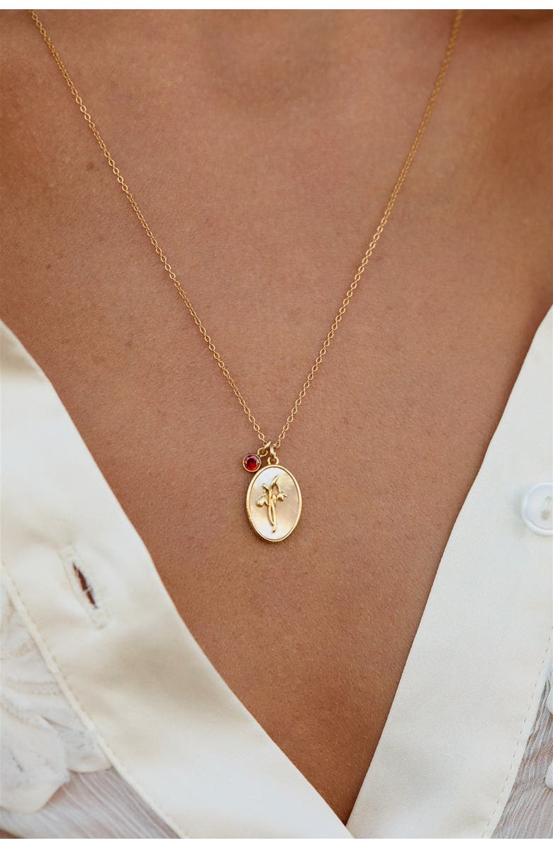 Set & Stones Katrina Birth Flower and Birthstone Charm Necklace, Alternate, color, Gold / January