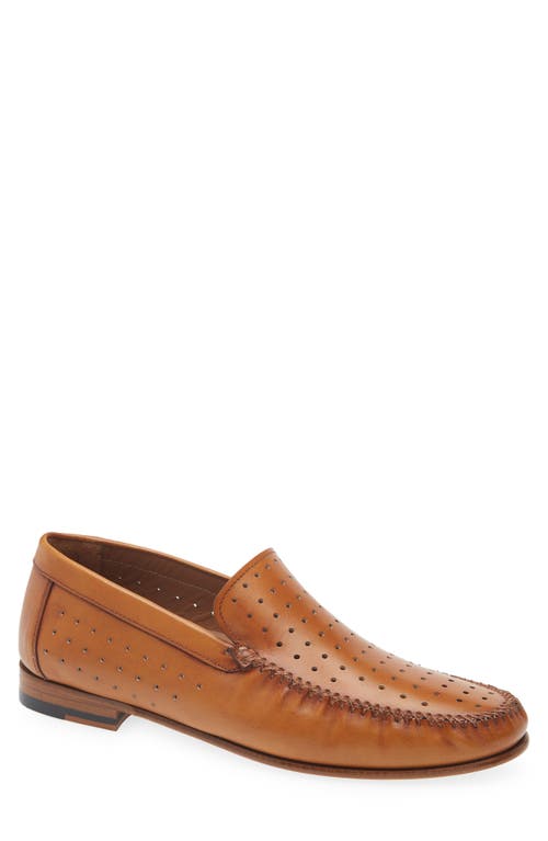 Mezlan Perforated Moc Toe Loafer In Cocoa