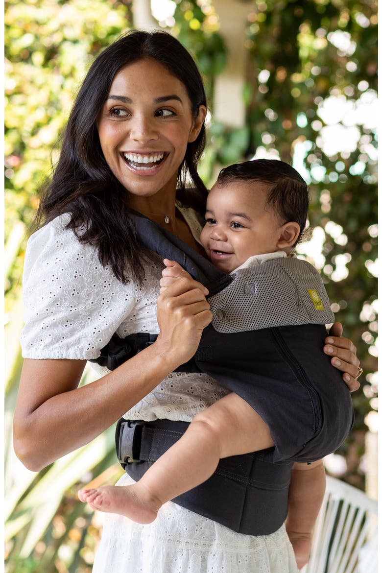 Complete All Seasons Baby Carrier, Alternate, color, CHARCOAL / SILVER