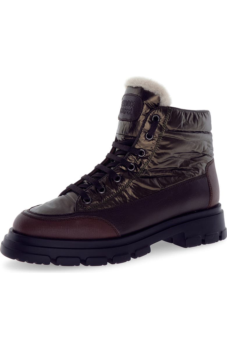 Candice Cooper Chado Genuine Shearling Lined Hiking Boot, Main, color,
