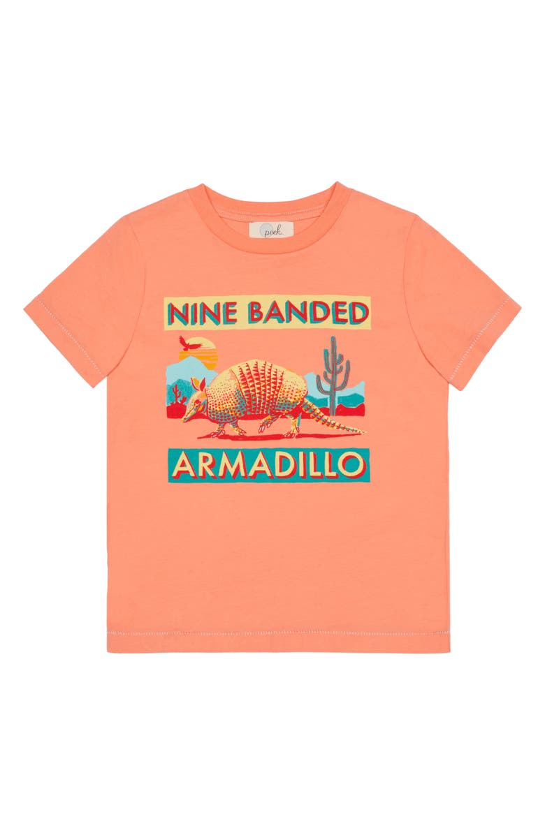 Peek Aren't You Curious Graphic Tee, Main, color,