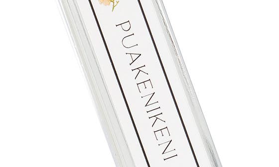 PUAKENIKENI