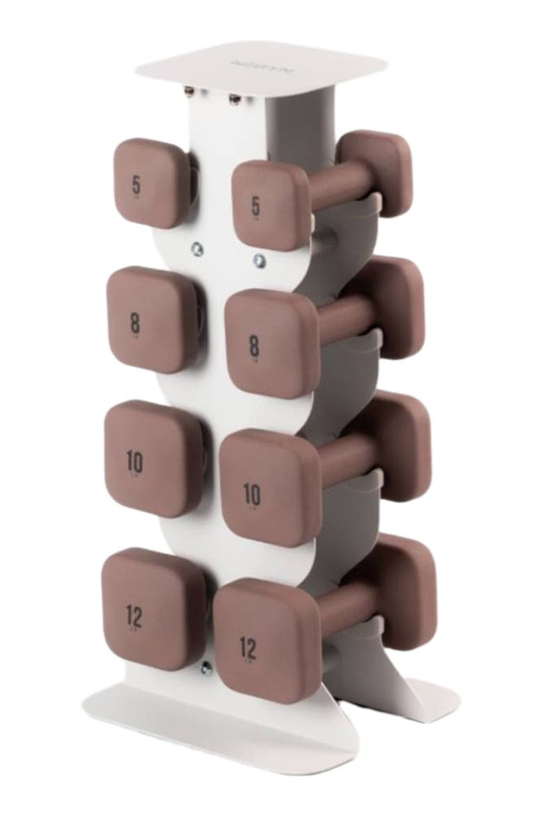SafeGrip Dumbbells Medium Set with Light Rack - 5, 8, 10, 12 lbs, Main, color, Rose
