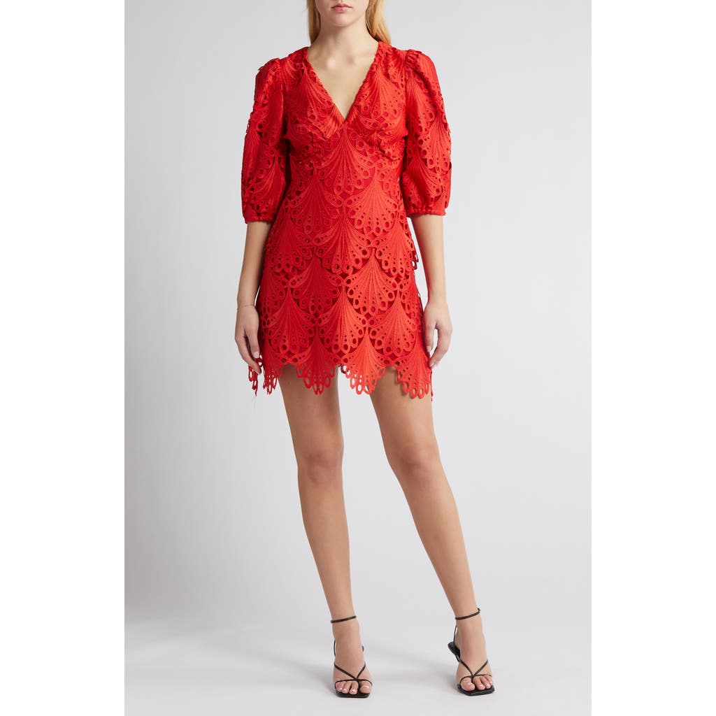 Shop Adelyn Rae Harper Lace Minidress In Poppy Red