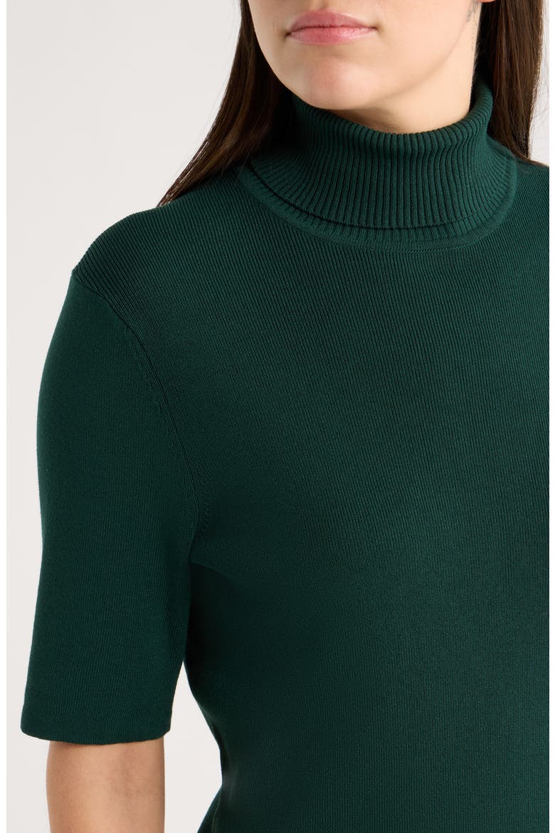 Turtleneck Rib Sweater, Alternate, color, PINE FOREST