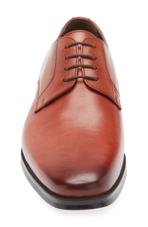 Bruno Magli Pello Derby In Multi