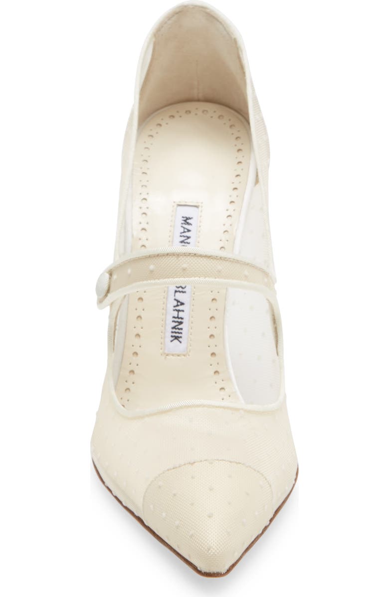 Manolo Blahnik Campari Pointed Toe Mary Jane Pump, Alternate, color,