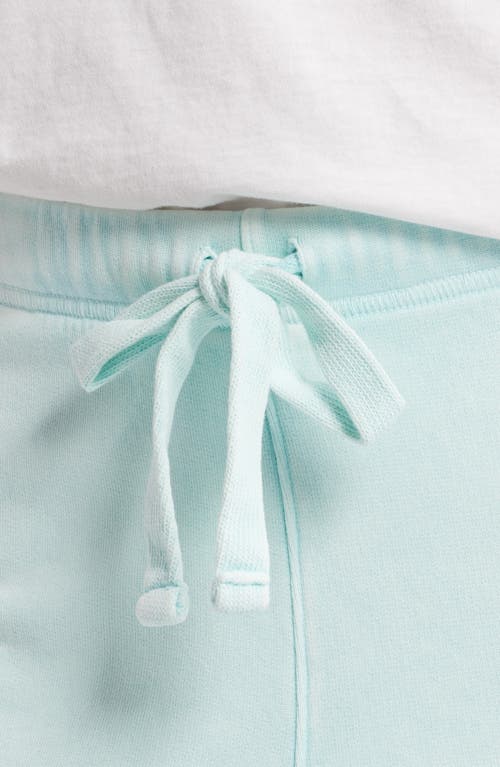 Frank & Eileen Catherine Favorite Sweatpant In Dewberry Mineral Wash In Dewberry Mineral Wash
