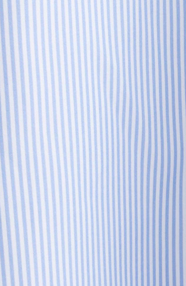 Altuzarra Eleanor Stripe Cotton Poplin Shirtdress, Alternate, color, Cornflower Stripe