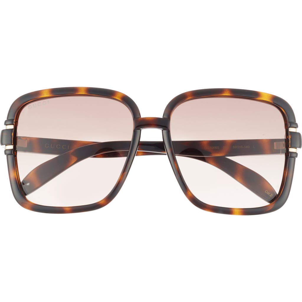 Gucci 59mm Square Sunglasses In Havana Havana Brown