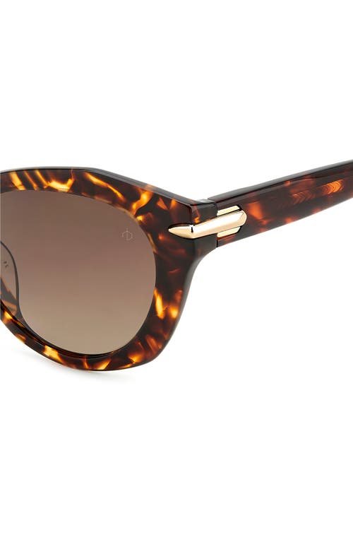 Rag & Bone 53mm Cat Eye Sunglasses In Brown