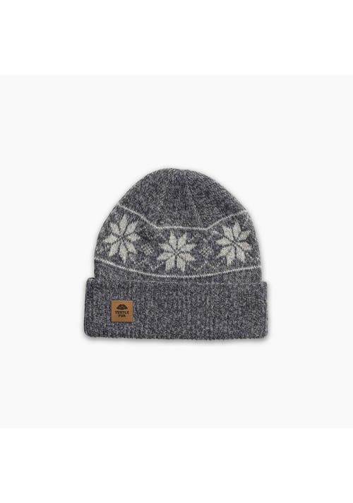 Turtle Fur Mount Snow Wool Beanie In Gray