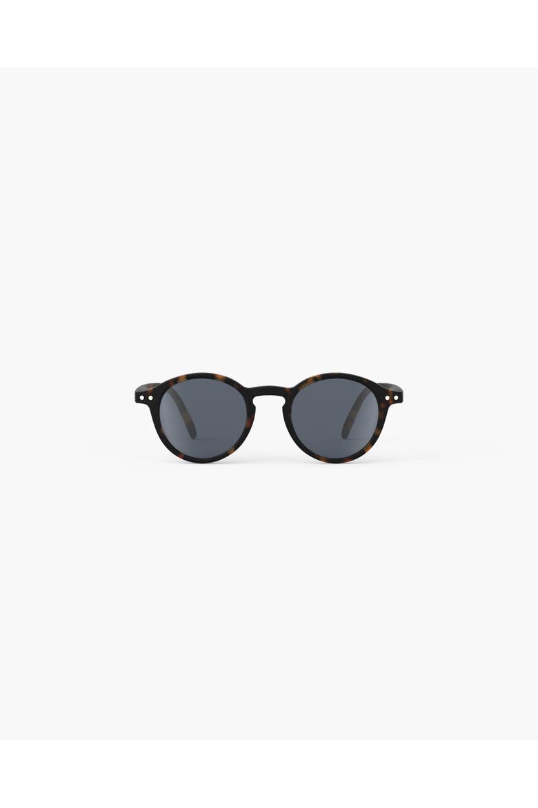 #d Tortoise Polarized, Main, color, Tortoise