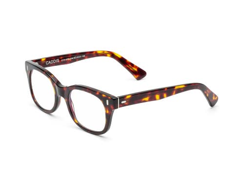Caddis Bixby | Reading Glasses