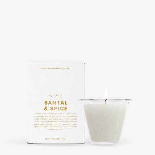 Ozaiz Aiz Candle In Gray