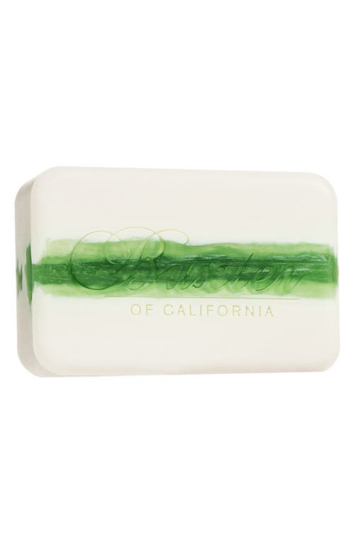 Baxter of California Italian Lime & Pomegranate Vitamin Cleansing Bar  product