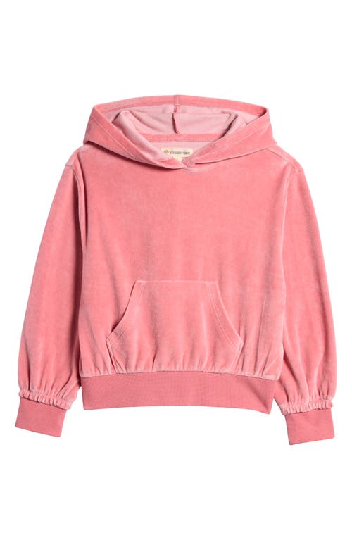 Shop Tucker + Tate Kids' Velour Hoodie In Pink Beauty