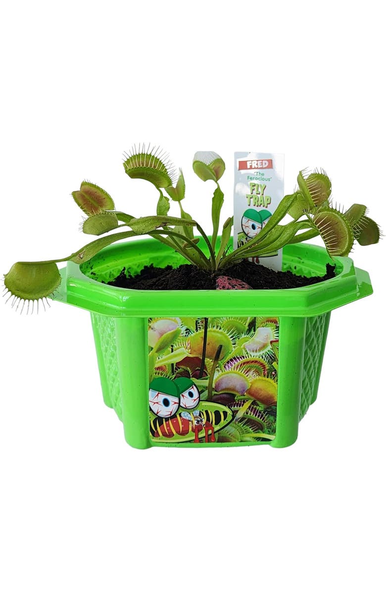 Toys By Nature Venus Flytrap Plant Kit, Alternate, color, NO COLOR