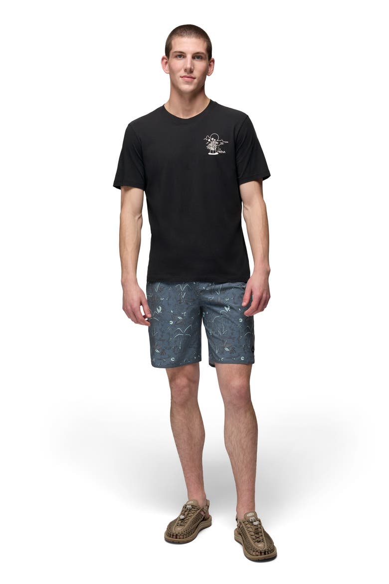 6-Inch Board Shorts, Alternate, color, BLUFF BLUE VACATION