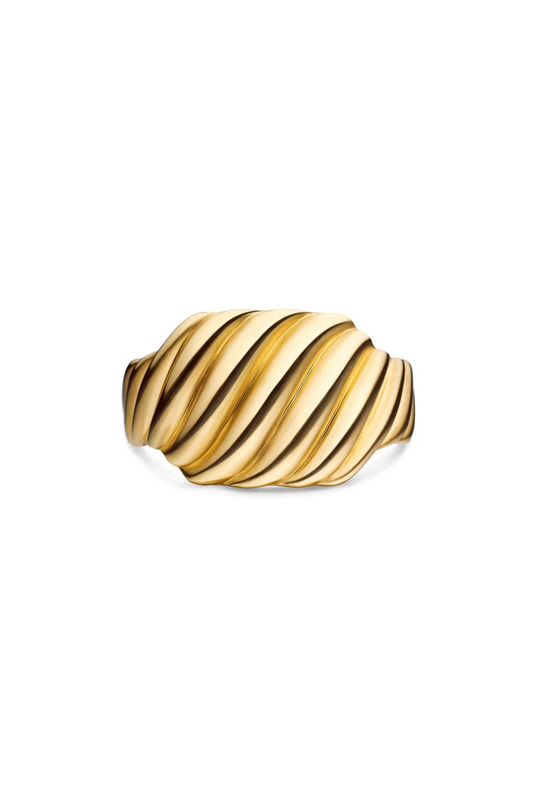 Sculpted Cable Contour Ring, Main, color, 18K YELLOW GOLD