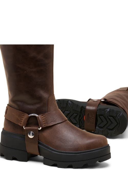 Sorel Joan Frwd Waterproof Harness Boot In Brown