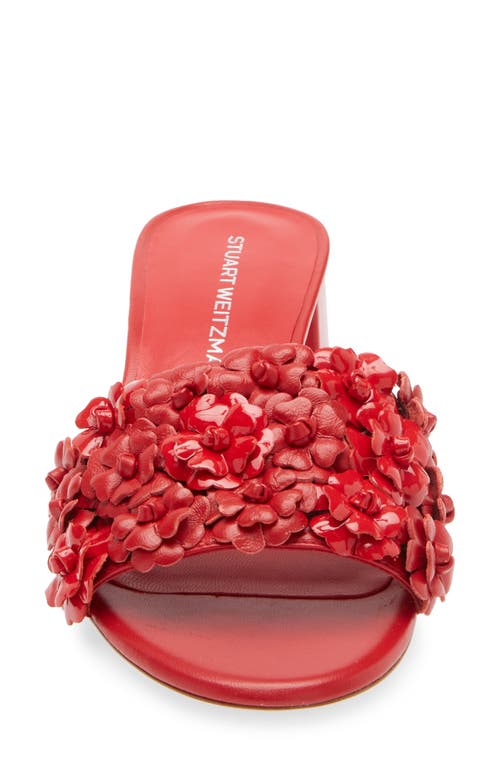 Stuart Weitzman Meadow Slide Sandal In Cherry