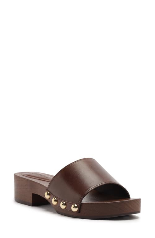 Schutz Shayla Slide Sandal In Brown
