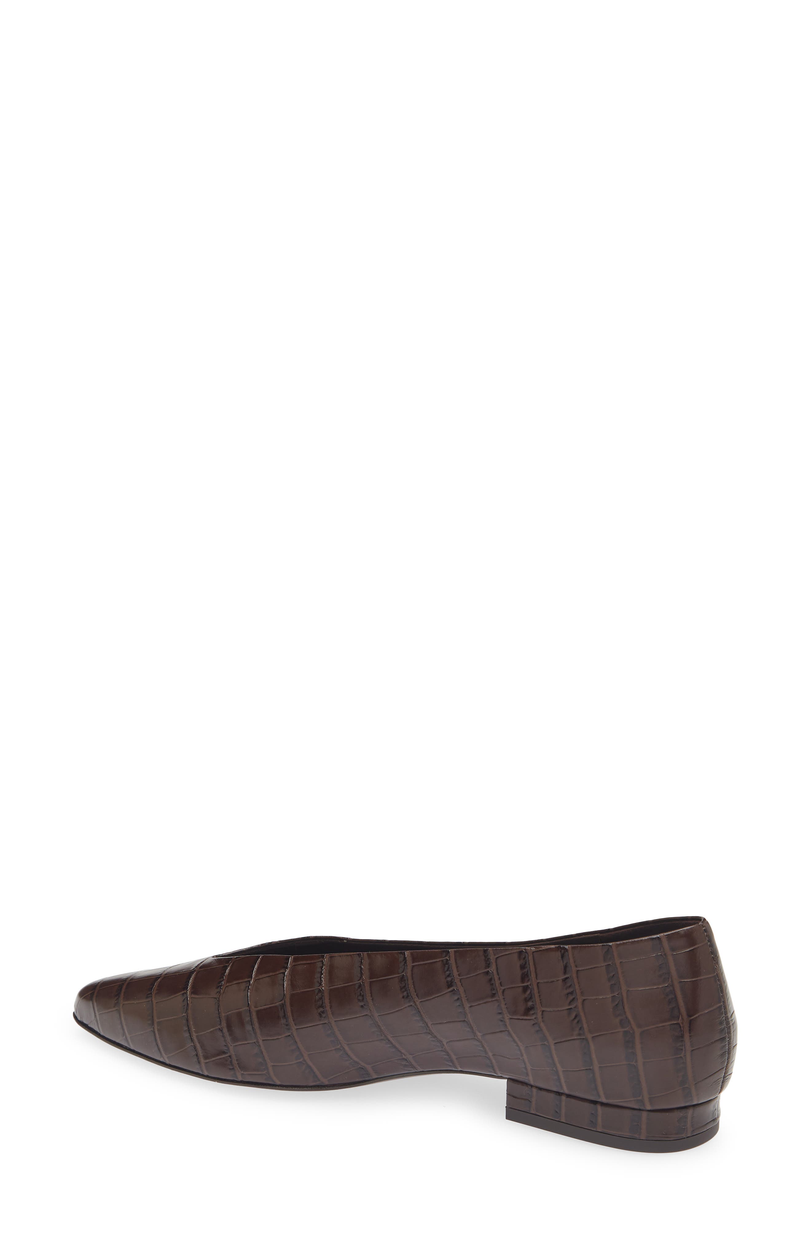 Calista Pointed Toe Leather Flat, Alternate, color, CHOCOLATE CROC
